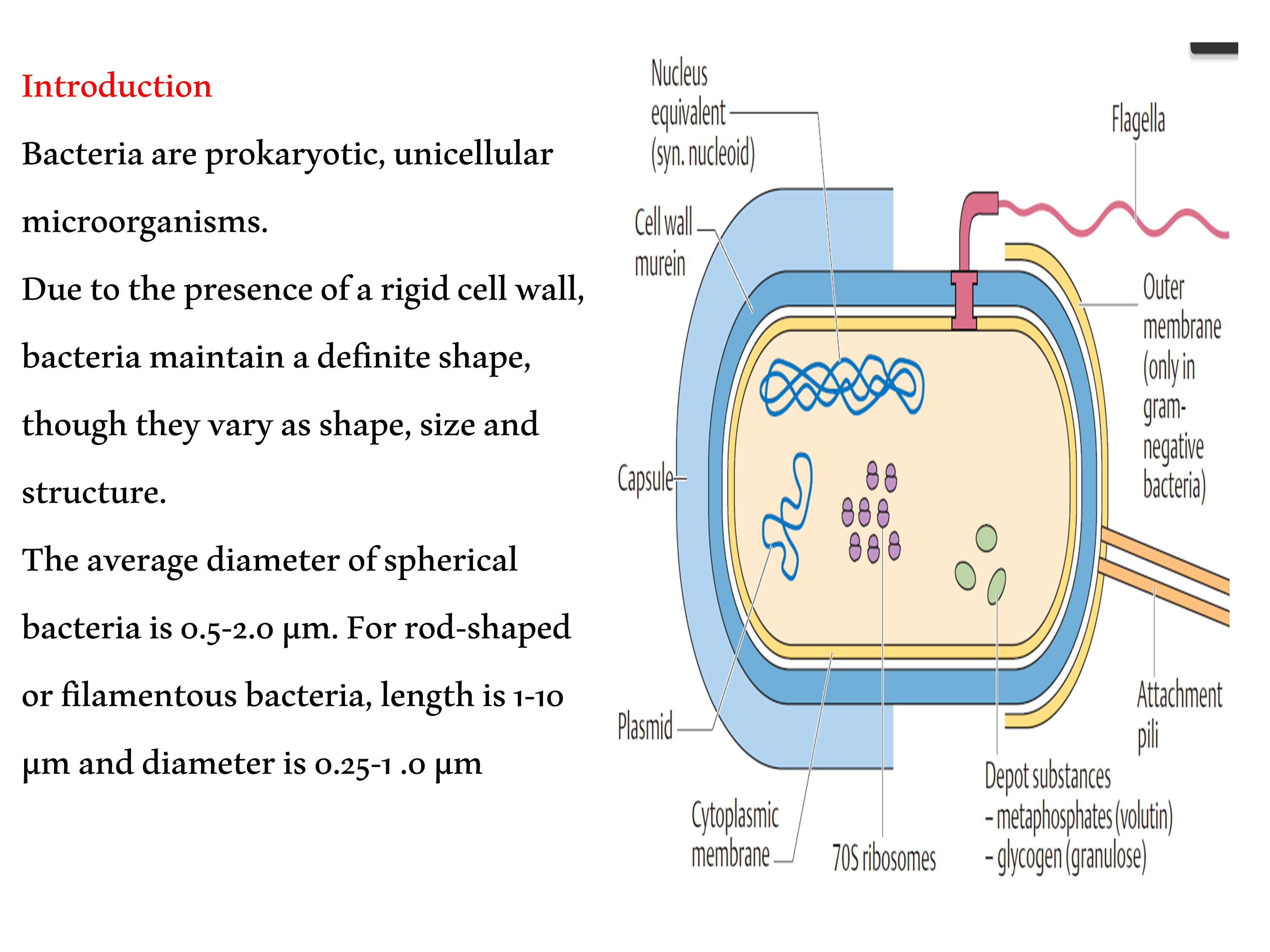 No preview available